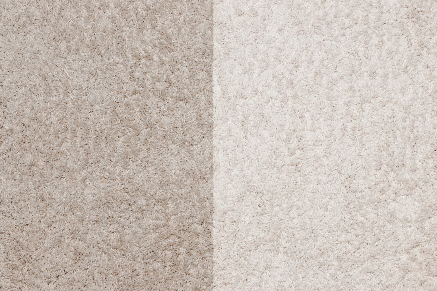 Carpet cleaning in Bartlett, TN